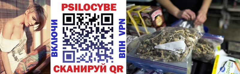 Псилоцибиновые грибы Psilocybine cubensis Ефремов
