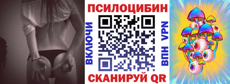 хочу наркоту  Ефремов  Псилоцибиновые грибы Psilocybine cubensis 