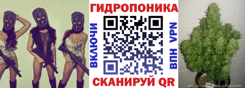 Канабис Ganja как найти наркотики Ефремов